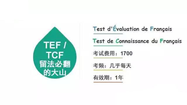 濟南歐風培訓:法語考試及證書大盤點